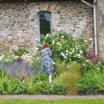 mindfulness of the five senses